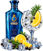 Drink 15 Composizione Star of Bombay con gin tonic