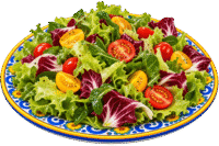 Braceria Tagliate 6 Insalata mediterranea su piatto decorato