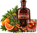 Bitter 22 Amaro Bonollo Of