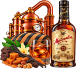 Bottiglia di rum Matusalem e distilleria in rame