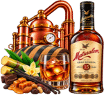 Composizione rum Matusalem e ingredienti tropicali