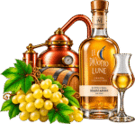 Grappa Marzadro tra Rame e Uva
