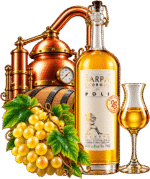 Grappa Sarpa Oro eleganza della distillazione