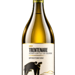 Paestum Fiano IGP "Trentenare" 2022 - San Salvatore 1988