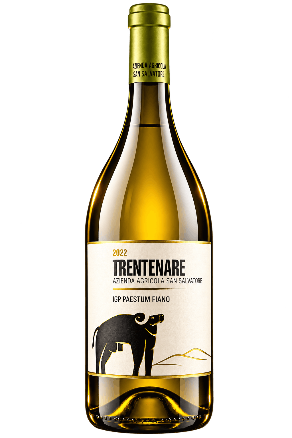 Bottiglia di vino bianco Trentenare 2022 Paestum Fiano IGP "Trentenare" 2022 - San Salvatore 1988 - immagine 1