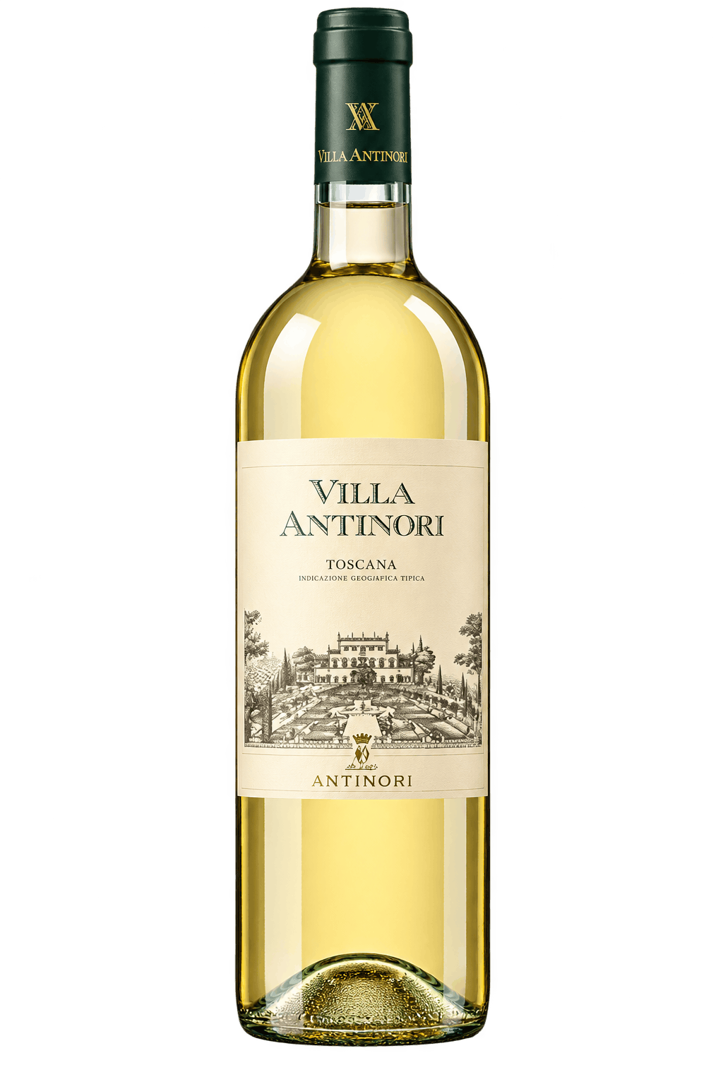 Bottiglia Villa Antinori Isolata