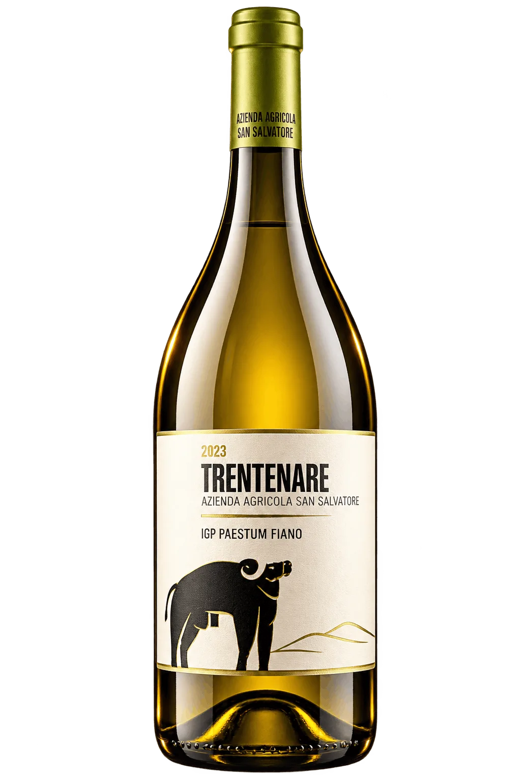 Bottiglia Fiano Trentenare 2023