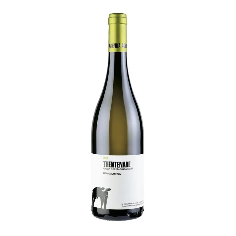 Fiano 2022 8051566343324 1747675419 0