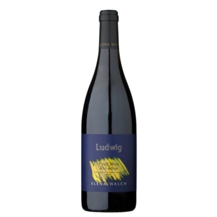 Pinot Nero "Ludwig" 2020 - Elena Walch