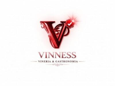 logo vinness completo