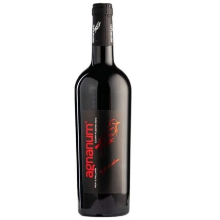 Per Palumm Agnanum 2023 - 05886