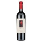 Isola dei Nuraghi Rosso IGT « Turriga » 2014 - Argiolas